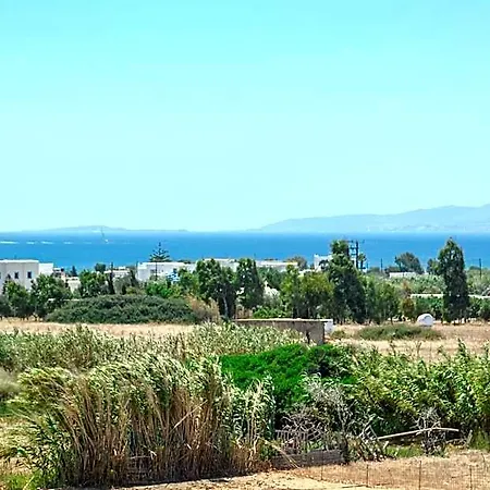 Sea & Olives And 호텔